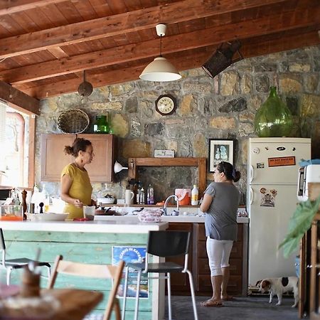 B&B Casa Dei Nonni Scario Buitenkant foto